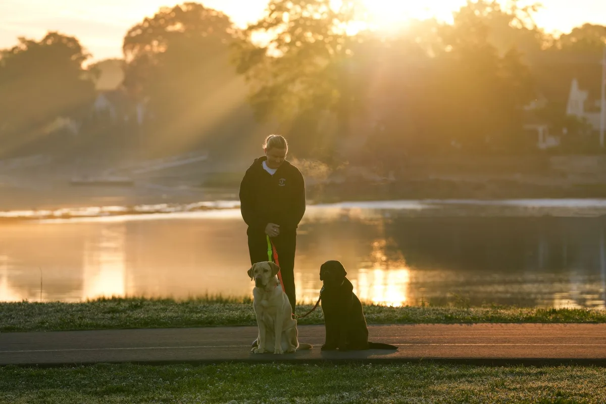 A person walking two dogs beside a lake at sunrise, warm light on the water.