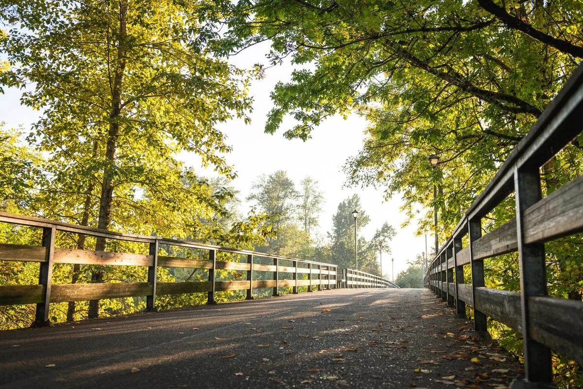 A paved trail with a wooden railing running through trees in morning light.